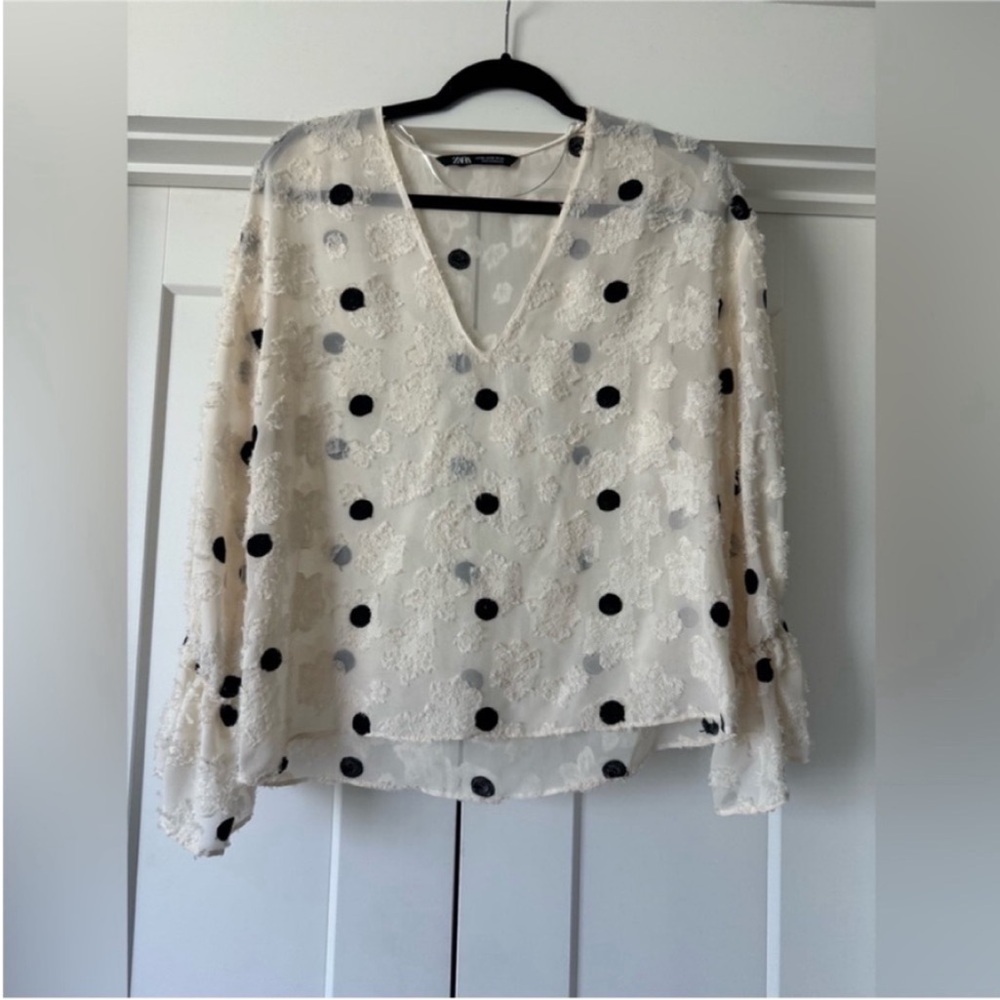Zara Cream and Black Sheer Long Sleeve Blouse